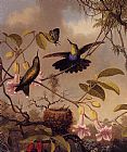 Fort-Tailed Woodnymph by Martin Johnson Heade
